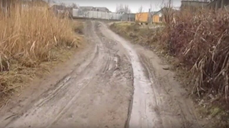 Жительница Корабельного района сняла «болотный блокбастер» | Корабелов.ИНФО