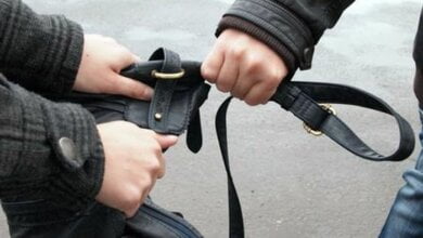Двое парней возле школы №1 ограбили девушку, вырвав из ее рук сумку | Корабелов.ИНФО