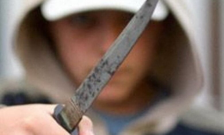 "Малолетка", нанесший в пьяном состоянии 25 ножевых ударов мужчине, задержан полицией и отправлен судом под домашний арест | Корабелов.ИНФО