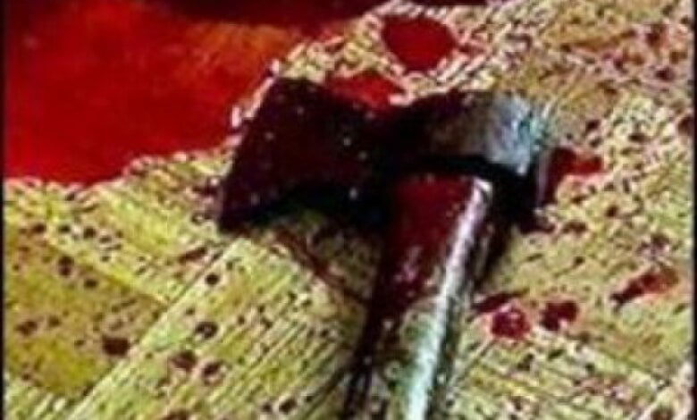 Мать отрицает, что кидалась на несовершеннолетнего сына с топором, полиция начала расследование | Корабелов.ИНФО