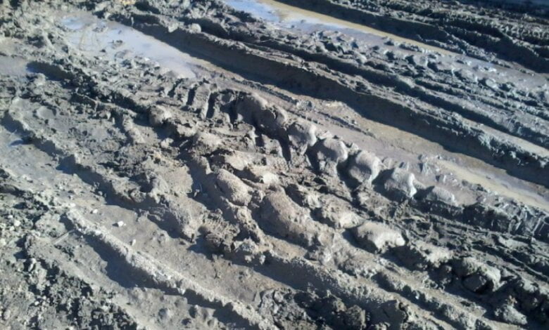 Продолжение "болотного блокбастера": в Балабановке можно утонуть в луже (Видео) | Корабелов.ИНФО