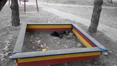 "Все лучшее - детям: сапоги и мертвый кот" у поликлиники в Корабельном районе | Корабелов.ИНФО image 1