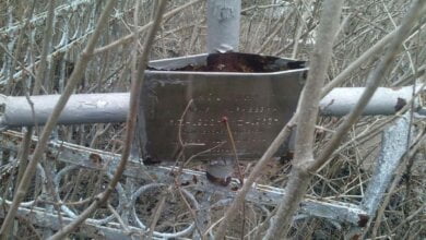 "Они мертвые - им все равно". Полиция задержала кладбищенского вора | Корабелов.ИНФО image 1