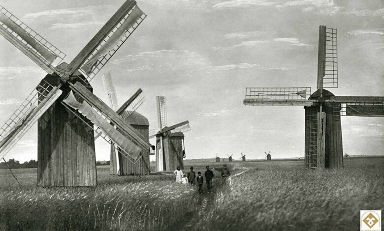 Более ста лет назад в Витовке (Богоявленском) насчитывалось 54 "ветряка" | Корабелов.ИНФО image 1