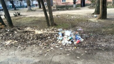 "Подарок женщинам Корабельного района: разбитые дороги, мусор и мертвая собака во дворе" | Корабелов.ИНФО image 3