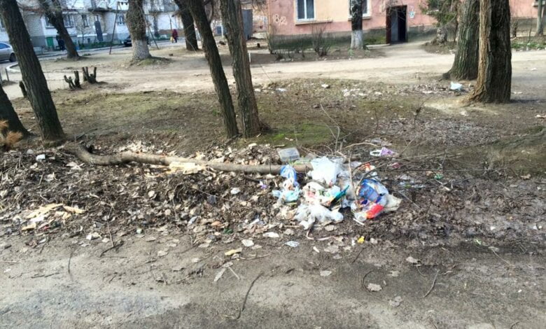 "Подарок женщинам Корабельного района: разбитые дороги, мусор и мертвая собака во дворе" | Корабелов.ИНФО image 3