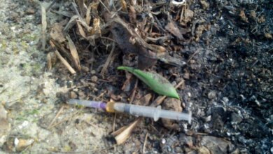 У Корабельному районі ще один наркоман, побачивши поліцейських, викинув шприц. Але зникнути йому не вдалося | Корабелов.ИНФО image 1