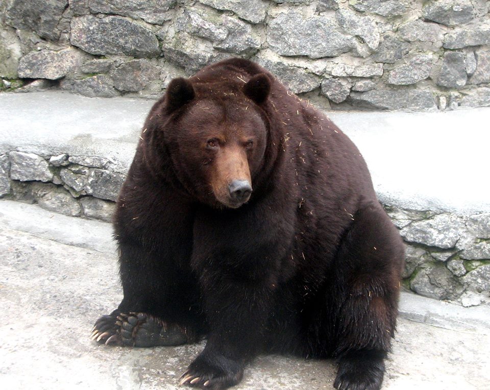 70305