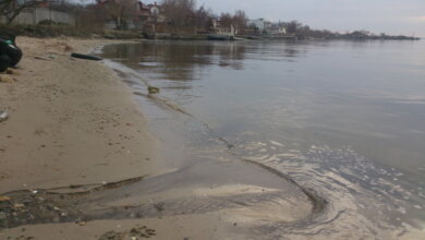 "А вдруг экологи проснутся", - житель Корабельного района устал в одиночку бороться со сливом канализации в реку | Корабелов.ИНФО image 3