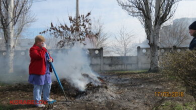 «Киоск есть, а туалета нет», - в ЖЦРБ жалуются на соседний ларек, клиенты которого загаживают территорию больницы | Корабелов.ИНФО image 5