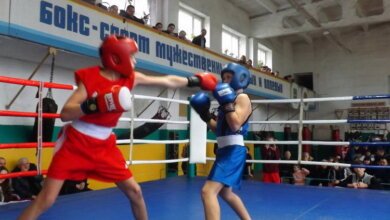 Боксеры-новички из Корабельного района достойно показали себя в боях за первенство | Корабелов.ИНФО image 1