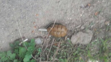 В Корабельном районе возле "многоэтажки" нашли гранату | Корабелов.ИНФО image 1