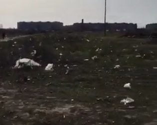 Недалеко от "многоэтажек" в Корабельном устроили свалку. Туда везут мусор целыми грузовиками (ВИДЕО) | Корабелов.ИНФО image 4