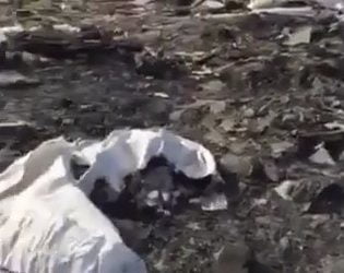 Недалеко от "многоэтажек" в Корабельном устроили свалку. Туда везут мусор целыми грузовиками (ВИДЕО) | Корабелов.ИНФО image 7