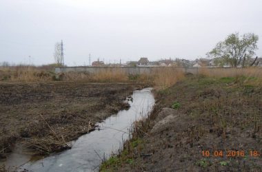 Збір небайдужих для відновлення парку "Богоявленський" планується на 23 квітня | Корабелов.ИНФО image 2