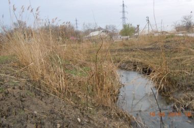 Збір небайдужих для відновлення парку "Богоявленський" планується на 23 квітня | Корабелов.ИНФО image 3