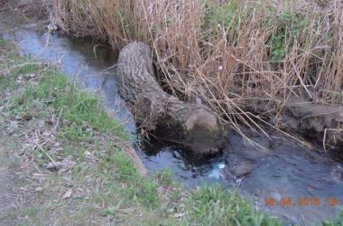 Збір небайдужих для відновлення парку "Богоявленський" планується на 23 квітня | Корабелов.ИНФО image 5