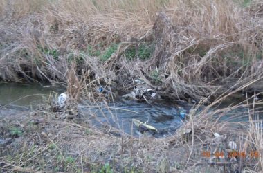 Збір небайдужих для відновлення парку "Богоявленський" планується на 23 квітня | Корабелов.ИНФО image 6