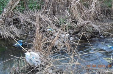 Збір небайдужих для відновлення парку "Богоявленський" планується на 23 квітня | Корабелов.ИНФО image 7