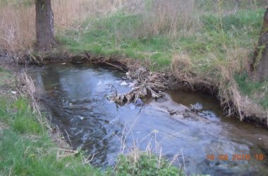 Збір небайдужих для відновлення парку "Богоявленський" планується на 23 квітня | Корабелов.ИНФО image 9