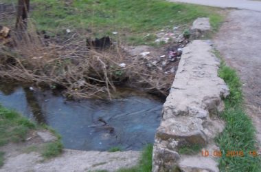 Збір небайдужих для відновлення парку "Богоявленський" планується на 23 квітня | Корабелов.ИНФО image 10