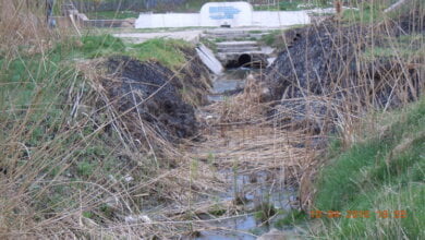 Збір небайдужих для відновлення парку "Богоявленський" планується на 23 квітня | Корабелов.ИНФО image 1