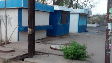 «Не пустить на самотек». Дела земельные в районе Корабельном | Корабелов.ИНФО image 7