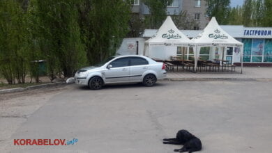 «Любовный треугольник». Стрельба в Корабельном из-за сотрудницы полиции: мужчина ранил своего «конкурента» | Корабелов.ИНФО image 6