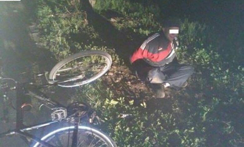 В Корабельном районе задержали велосипедиста-наркодилера | Корабелов.ИНФО image 1