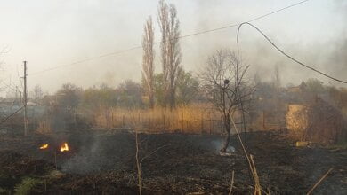 "Горел камыш"... В результате пожара в Корабельном районе повреждена линия электропередач | Корабелов.ИНФО image 2