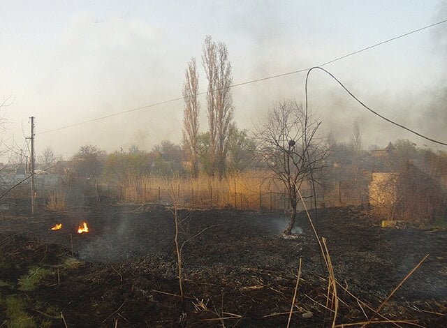 "Горел камыш"... В результате пожара в Корабельном районе повреждена линия электропередач | Корабелов.ИНФО image 2