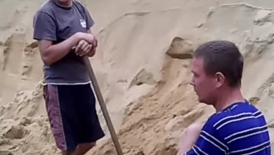 "Пришлось выбить стекло и вытащить их из машины". Задержание песчаных браконьеров в Балабановском лесу (ВИДЕО) | Корабелов.ИНФО image 3