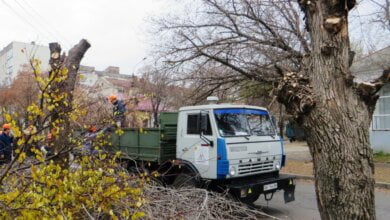 Мер новий, а схеми старі. Фірма «регіоналу» отримає за благоустрій Миколаєва 11 мільйонів | Корабелов.ИНФО