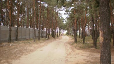 Суды продолжают возвращать в собственность государства "разбазаренные" участки на «Маяке» | Корабелов.ИНФО