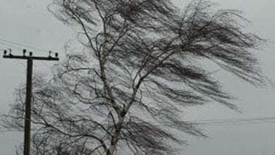 Сильный ветер, местами заморозки обещает гидрометцентр николаевцам | Корабелов.ИНФО