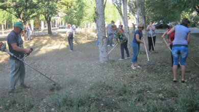 В Корабельной райадминистрации отчитались, что отловили 16 собак, убрали свалки, обустроили тротуар и не только | Корабелов.ИНФО