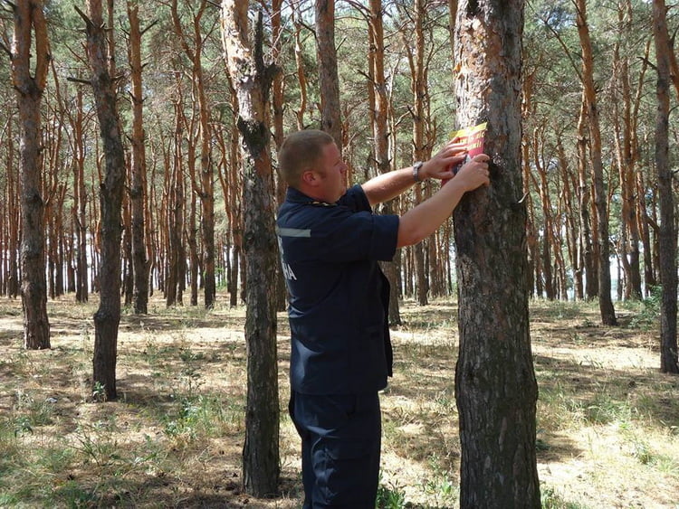 Рятувальники з Корабельного райвідділу ДСНС провели рейди по місцям масового відпочинку людей | Корабелов.ИНФО image 1