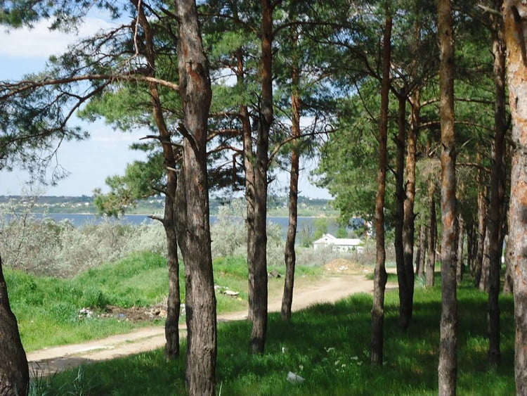 Рятувальники з Корабельного райвідділу ДСНС провели рейди по місцям масового відпочинку людей | Корабелов.ИНФО image 6