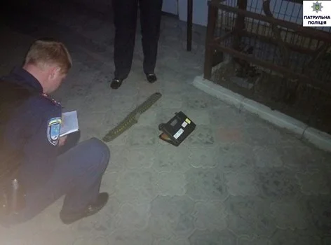 "В соседских "разборках" со стрельбой в Корабельном районе приняли участие шестеро мужчин и собака", - полиция | Корабелов.ИНФО image 3