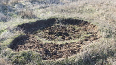 На території Корабельного района виявлені архітектурні пам’ятки | Корабелов.ИНФО