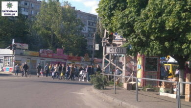 Патрульна поліція заявила про погану видимість дорожніх знаків та світлофорів через гілки дерев | Корабелов.ИНФО image 1