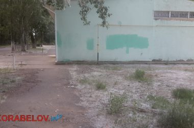 «Неужели нельзя спилить их, чтобы люди так не страдали?» Жители Корабельного района жалуются на тополиный пух | Корабелов.ИНФО image 1