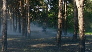 2 травня горіло Балабанівське урочище | Корабелов.ИНФО image 1