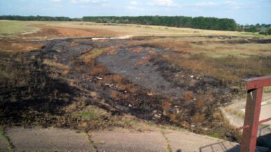 Горожане попросили мэра наполнить водой пересохшее "Октябрьское «море» | Корабелов.ИНФО