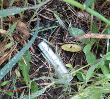 Труп молодой женщины, найденный в Корабельном районе, пока не опознан | Корабелов.ИНФО image 1