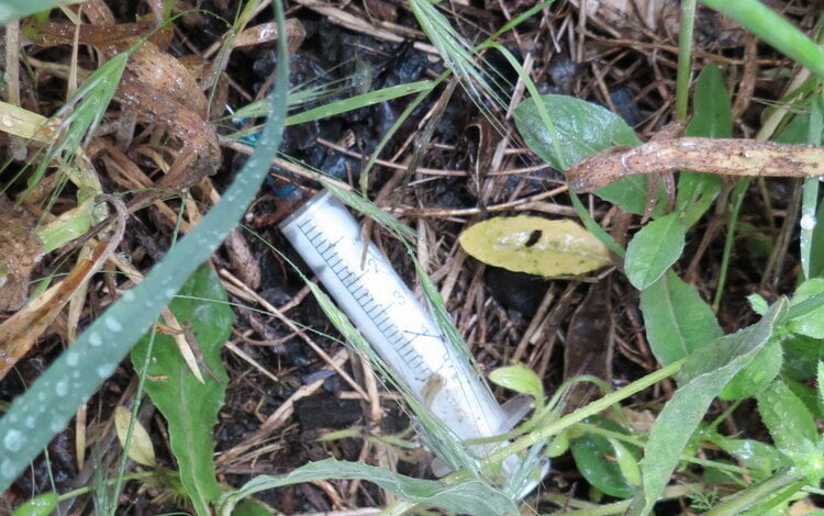 Труп молодой женщины, найденный в Корабельном районе, пока не опознан | Корабелов.ИНФО image 1