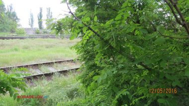 Труп молодой женщины, найденный в Корабельном районе, пока не опознан | Корабелов.ИНФО image 4