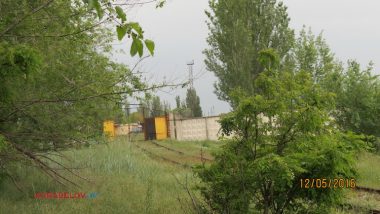 Труп молодой женщины, найденный в Корабельном районе, пока не опознан | Корабелов.ИНФО image 7