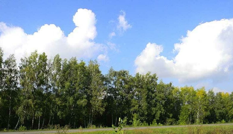 Пропавший в Николаеве одессит найден мертвым | Корабелов.ИНФО