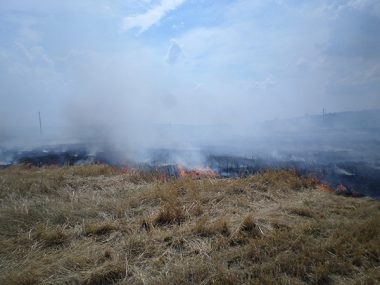 В Корабельном за сутки - более 5 пожаров на открытых территориях. Жители снова тушили траву на пустыре за школой № 48 (ВИДЕО) | Корабелов.ИНФО image 5